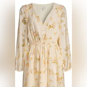 Madewell Carnation Floral Cate Dress